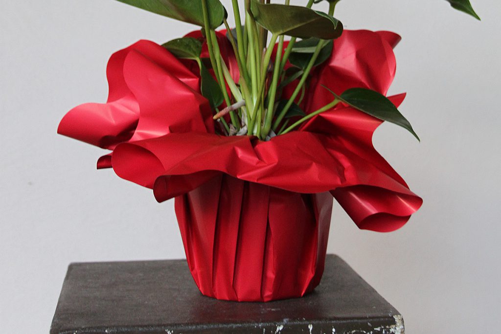Sottovasi - D & D Packaging - Confezionamento floreale e decorativo,  packaging per fiori
